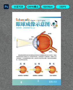 眼球成像示意图