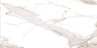 白色鱼肚金大理石石纹