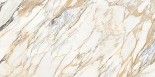 白色鱼肚金大理石石纹