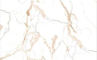 白色鱼肚金大理石石纹