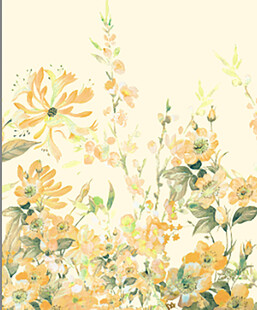 手绘黄色花卉清新插画