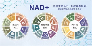 NAD健康信息图表