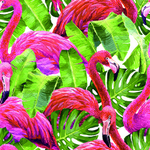火烈鸟与热带绿植的梦幻组合