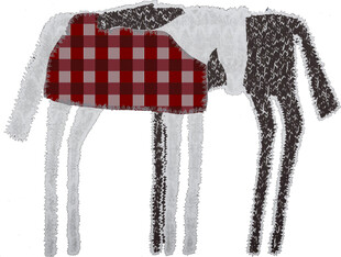 格子图案装饰的黑白小马