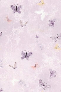梦幻蝴蝶背景图