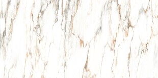 白色鱼肚金大理石石纹