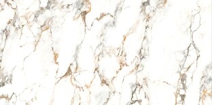 白色鱼肚金大理石石纹