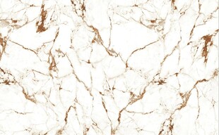 白色鱼肚金大理石石纹