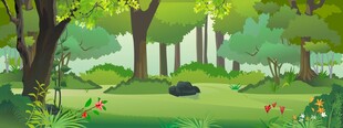 夏日森林绿意盎然场景
