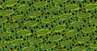 绿色几何图案纹理背景