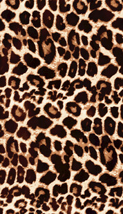豹纹图案纹理