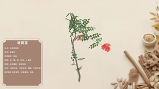 中草药凌霄花