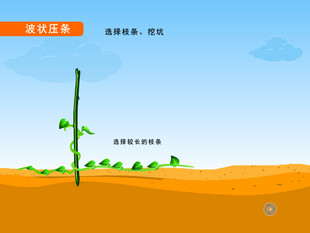 波状压条动画课件