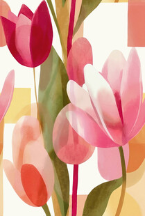 粉色系郁金香花卉插画