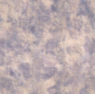 梦幻蓝紫渐变抽象纹理背景