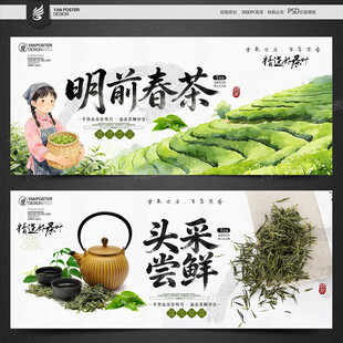 春茶