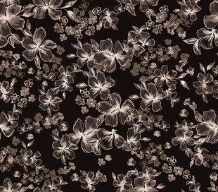 黑色底纹精致花卉图案