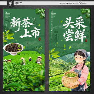 新茶上市 头采尝鲜海报