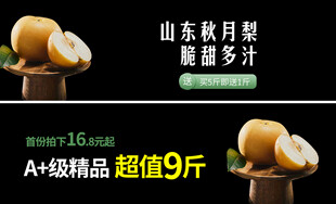 山东秋月梨