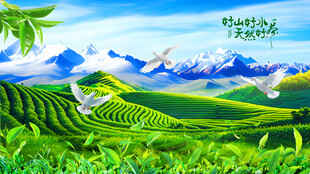 茶园