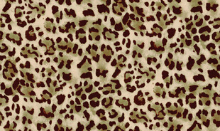 豹纹图案布料纹理