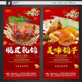 鸽子