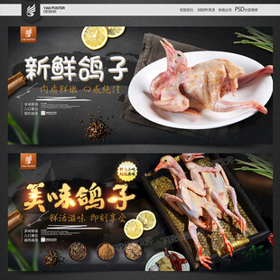新鲜鸽子