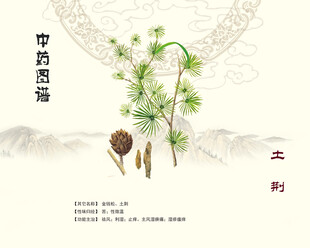 传统中药土荆