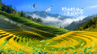 梯田