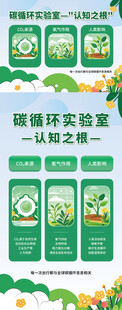 循环包装环保发展新路径