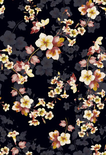 黑色底花卉图案纹理