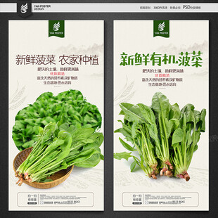 菠菜