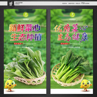 菜心
