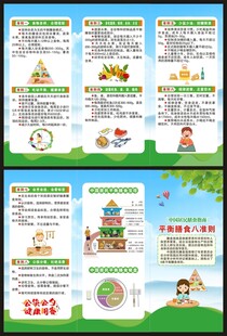中国居民膳食指南三折页