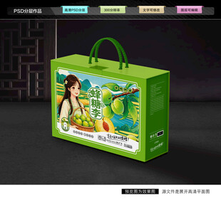 李子包装 蜂糖李礼盒