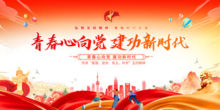 青春心向党主题宣传展板