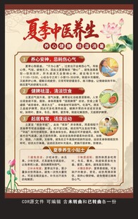 夏季中医养生展板