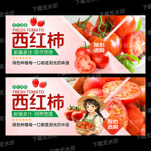 西红柿
