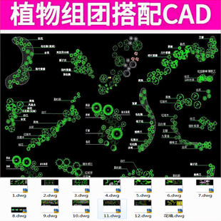 植物组团搭配CAD图纸展示