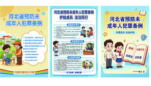 河北预未成年人犯罪条例