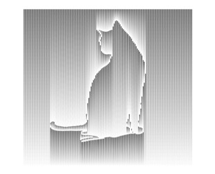 猫咪 优雅坐姿