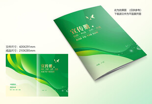 绿色线条封面