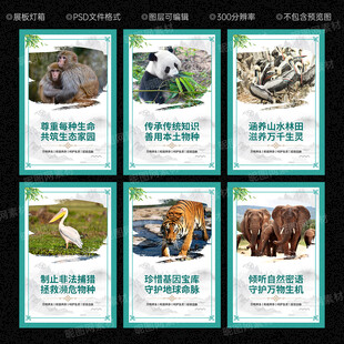 保护生物多样性