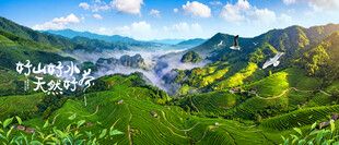 青山茶山