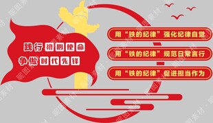 党的纪律党建文化