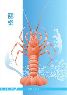 鲜活大龙虾展示