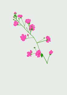 粉色小花枝插画