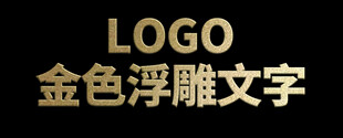 金色浮雕文字LOGO展示