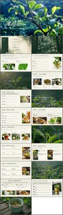 芳香精灵薄荷茶文化ppt