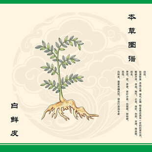 白鲜皮草药图示